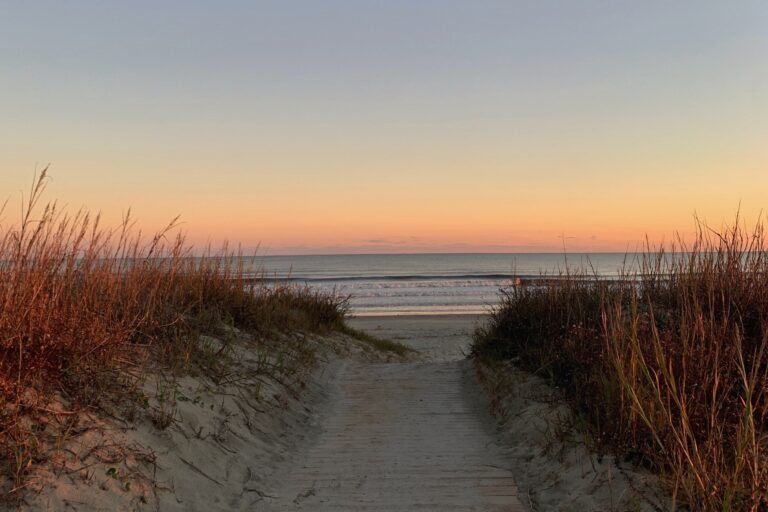 My Mind’s Oasis: Why I Need A Space Like This